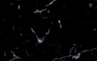 marmol negro marquina mini